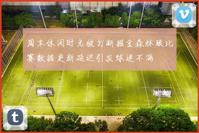 周末休闲时光被打断掘金森林狼比赛数据更新延迟引发球迷不满