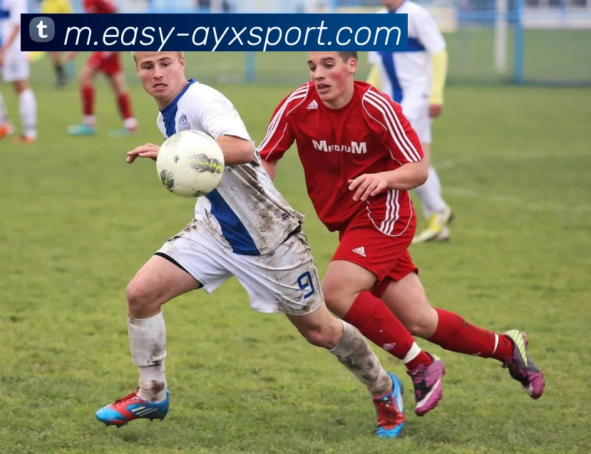 爱游戏体育发展历程